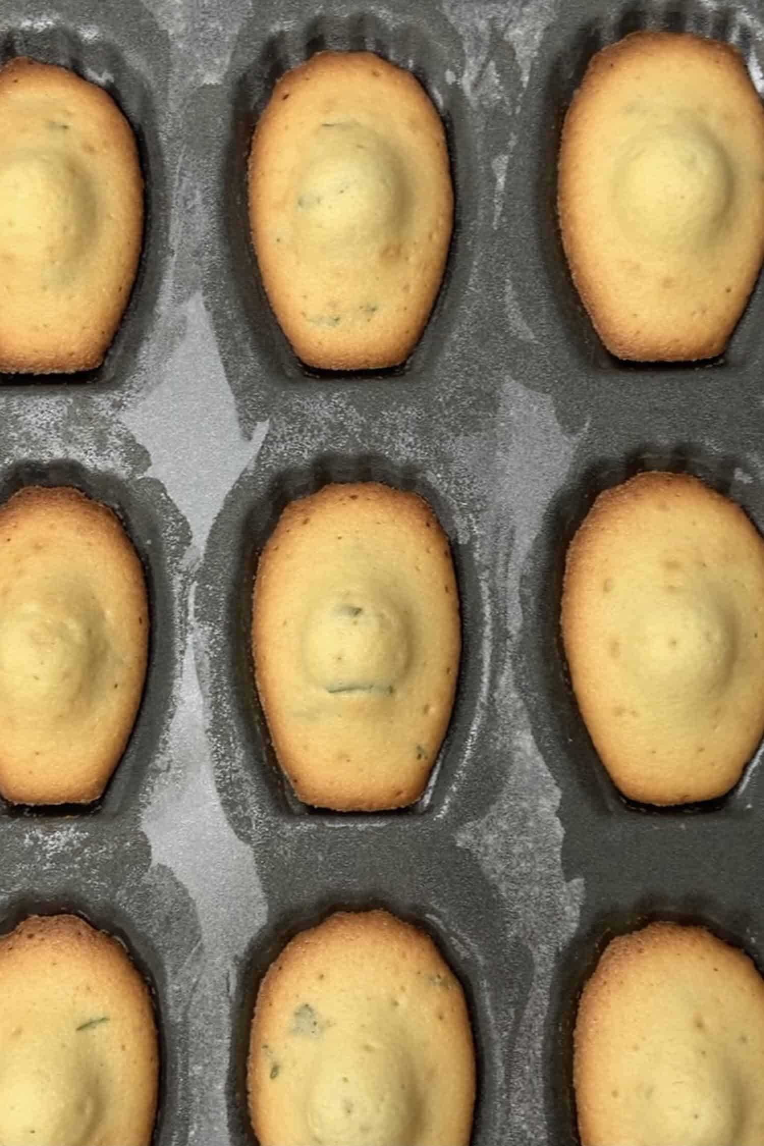 Madeleines after baking in the baking tin.