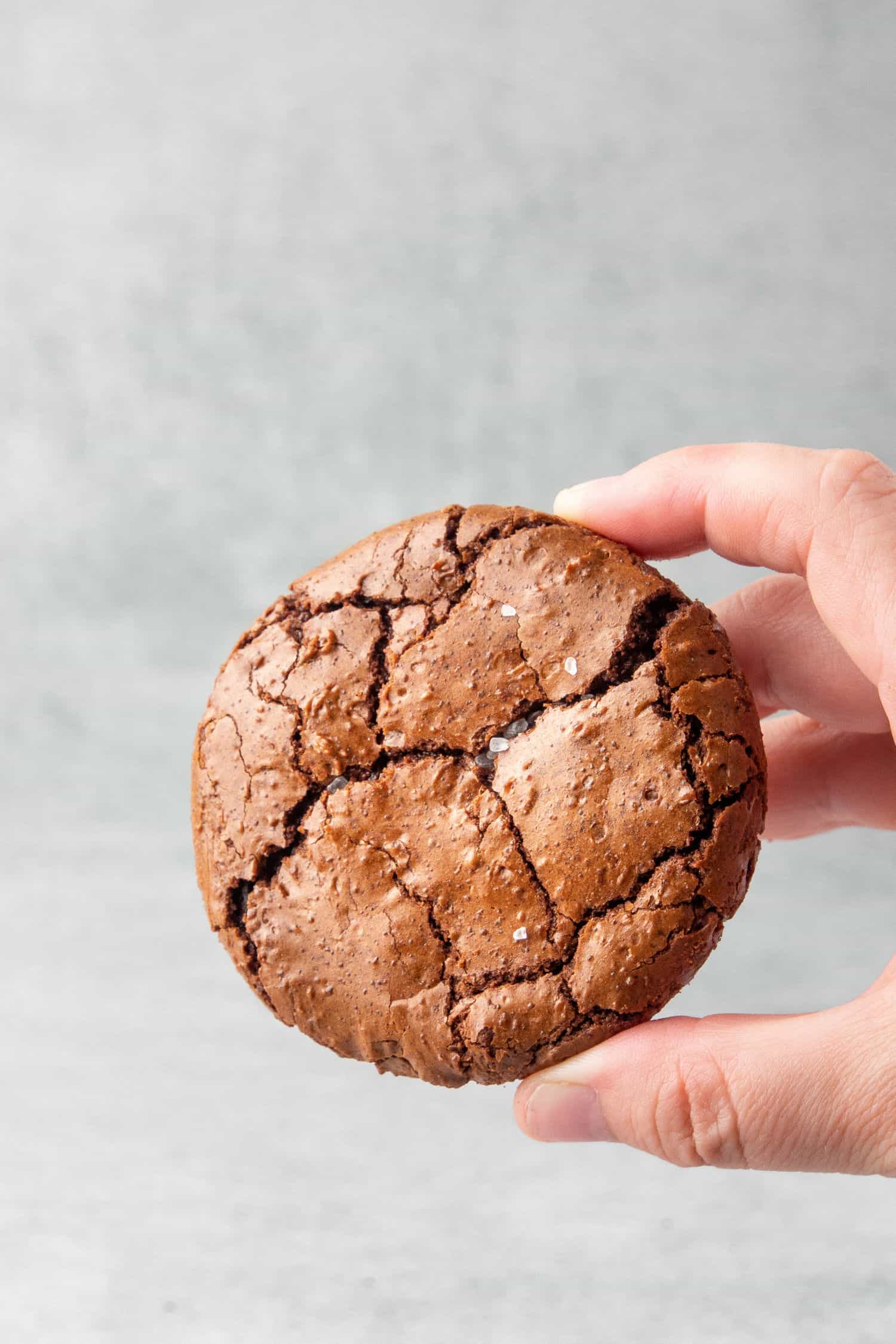 a hand holding a Brownie cookie.