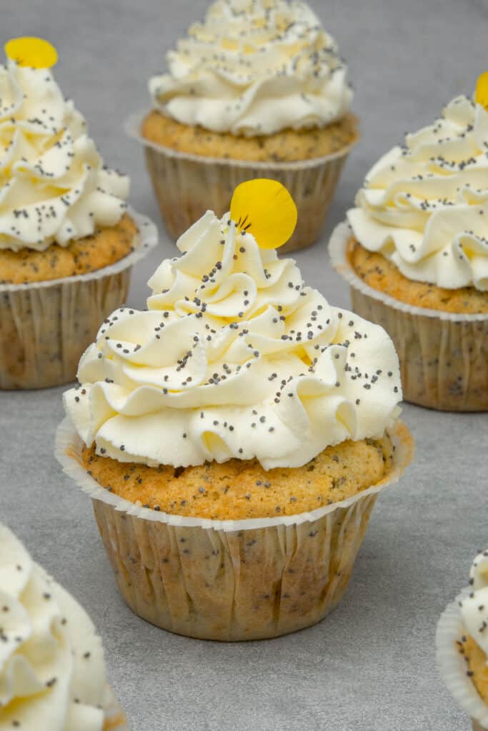 Lemon poppyseed cupcake