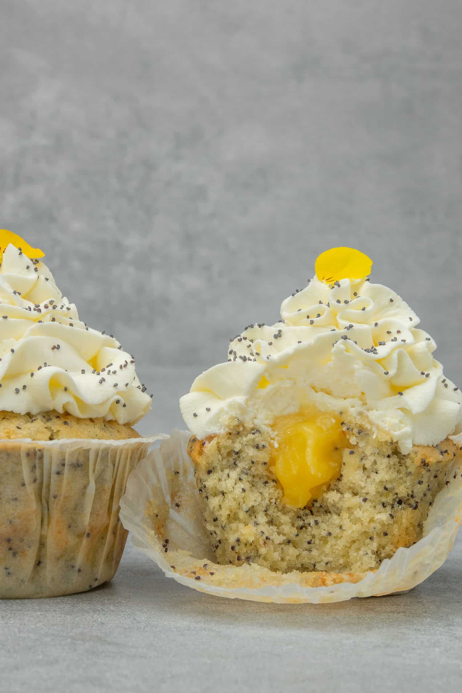 Lemon poppyseed cupcake