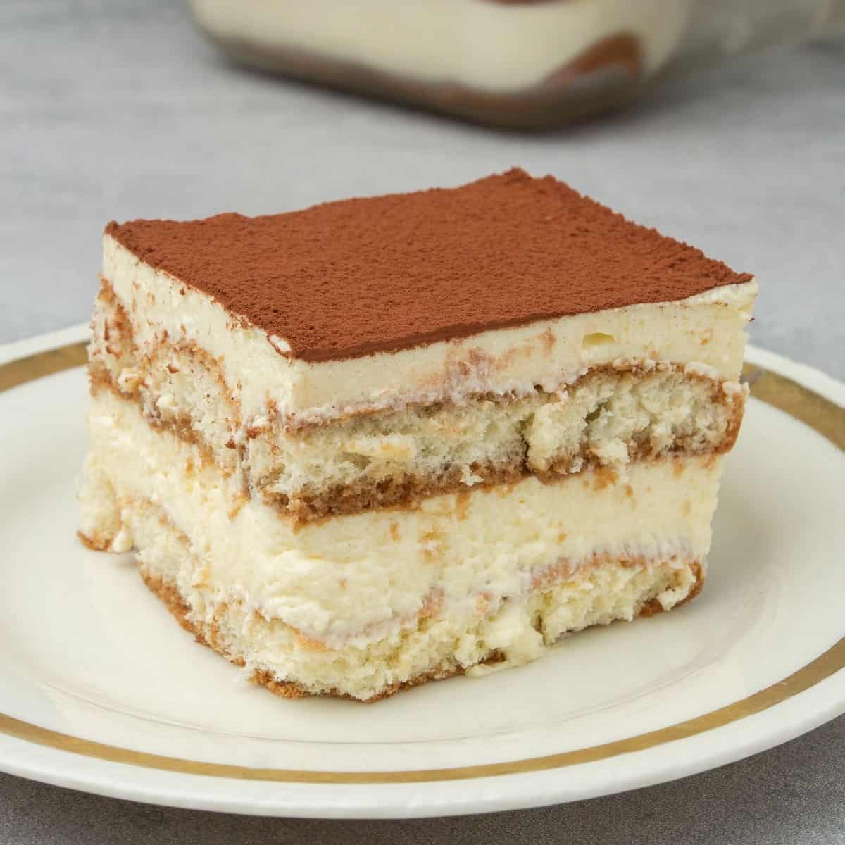 Home made tiramisu on a plate.