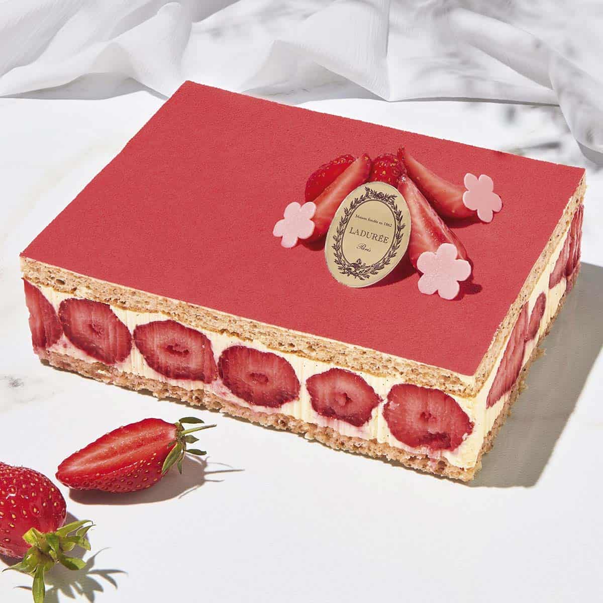 Ladure fraisier cake