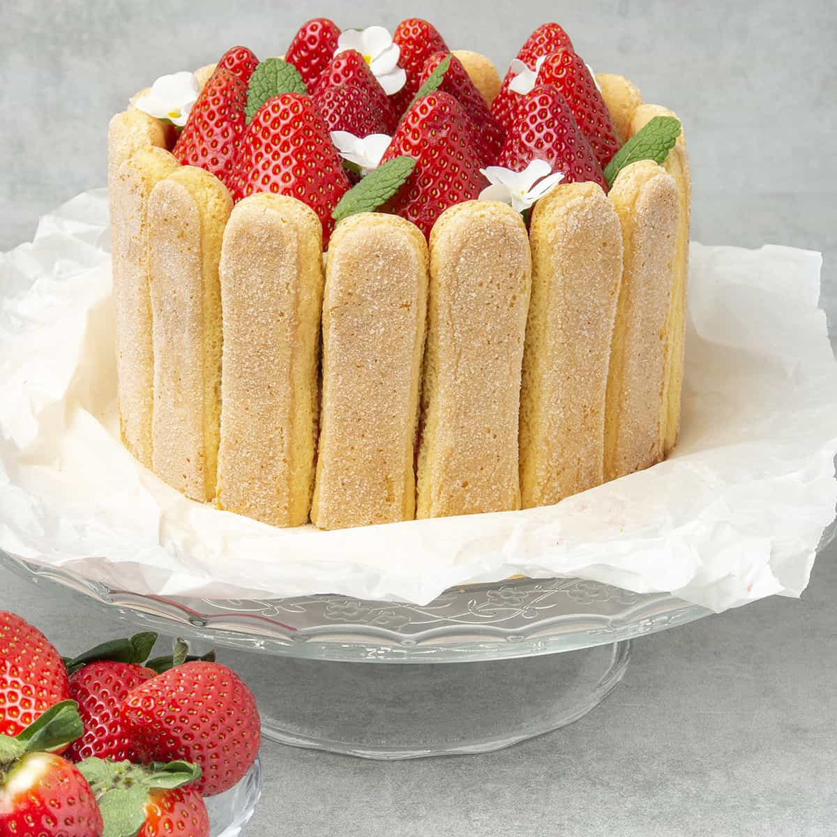 Strawberry charlotte cake on a cake stand