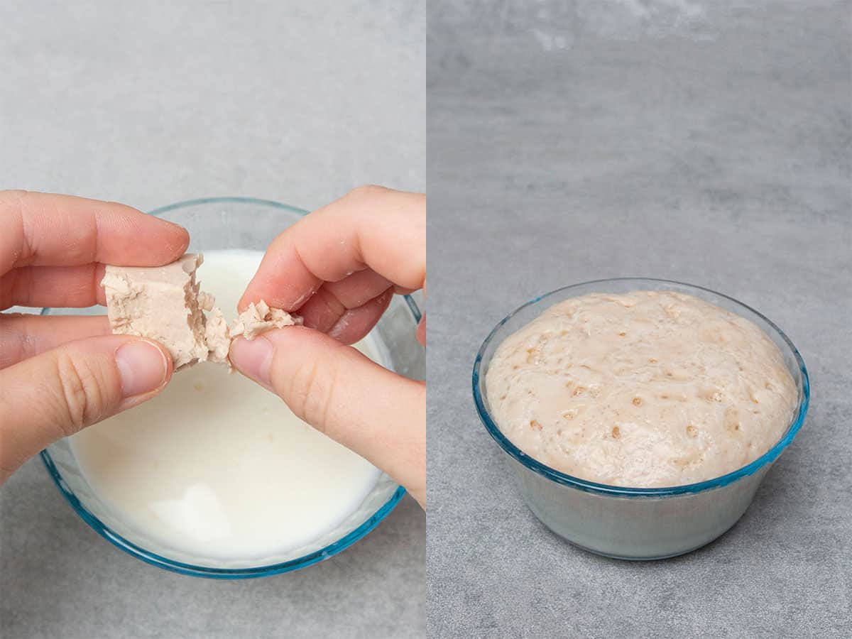 process image of activating the yeast