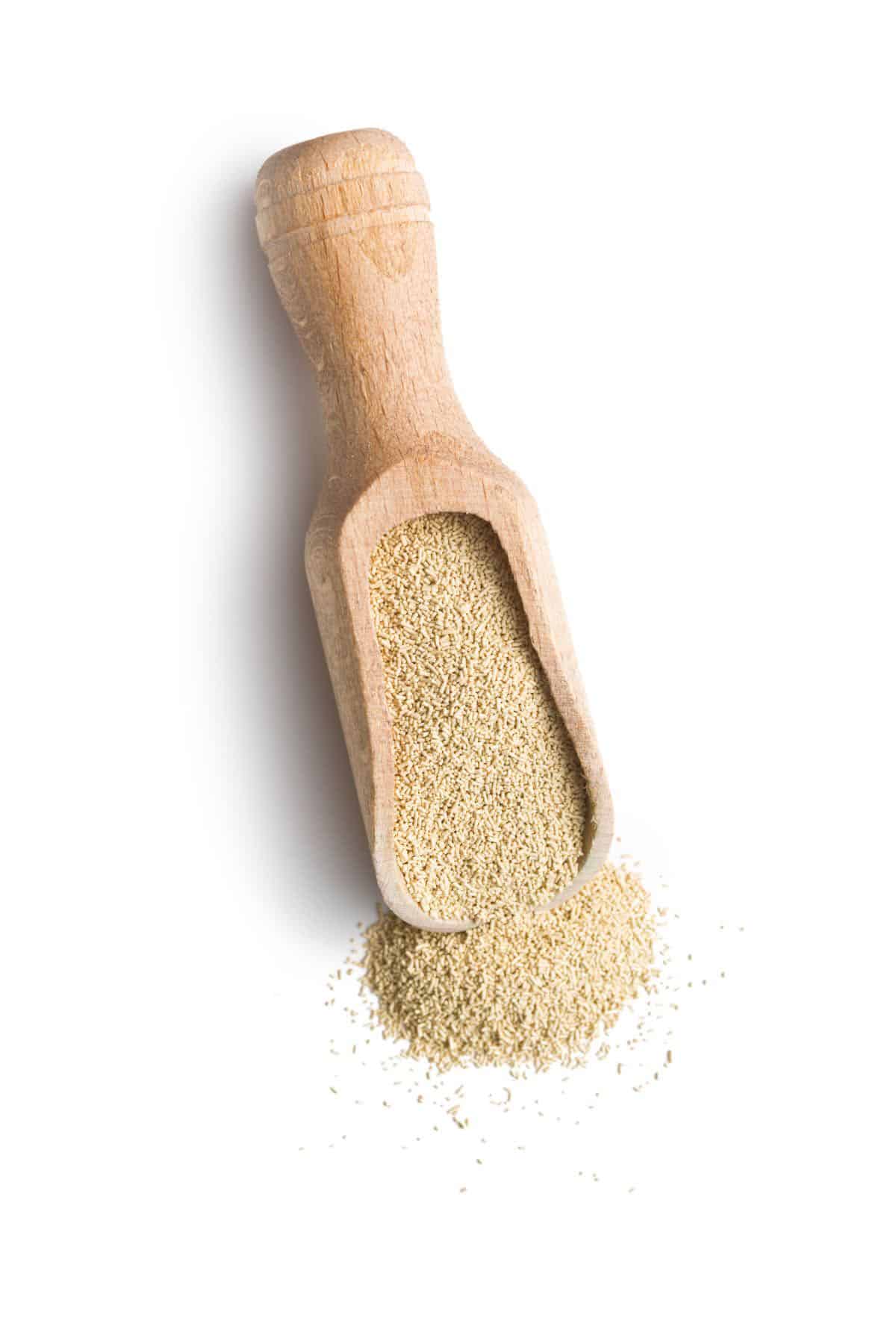 dry yeast in a wooden spoon.