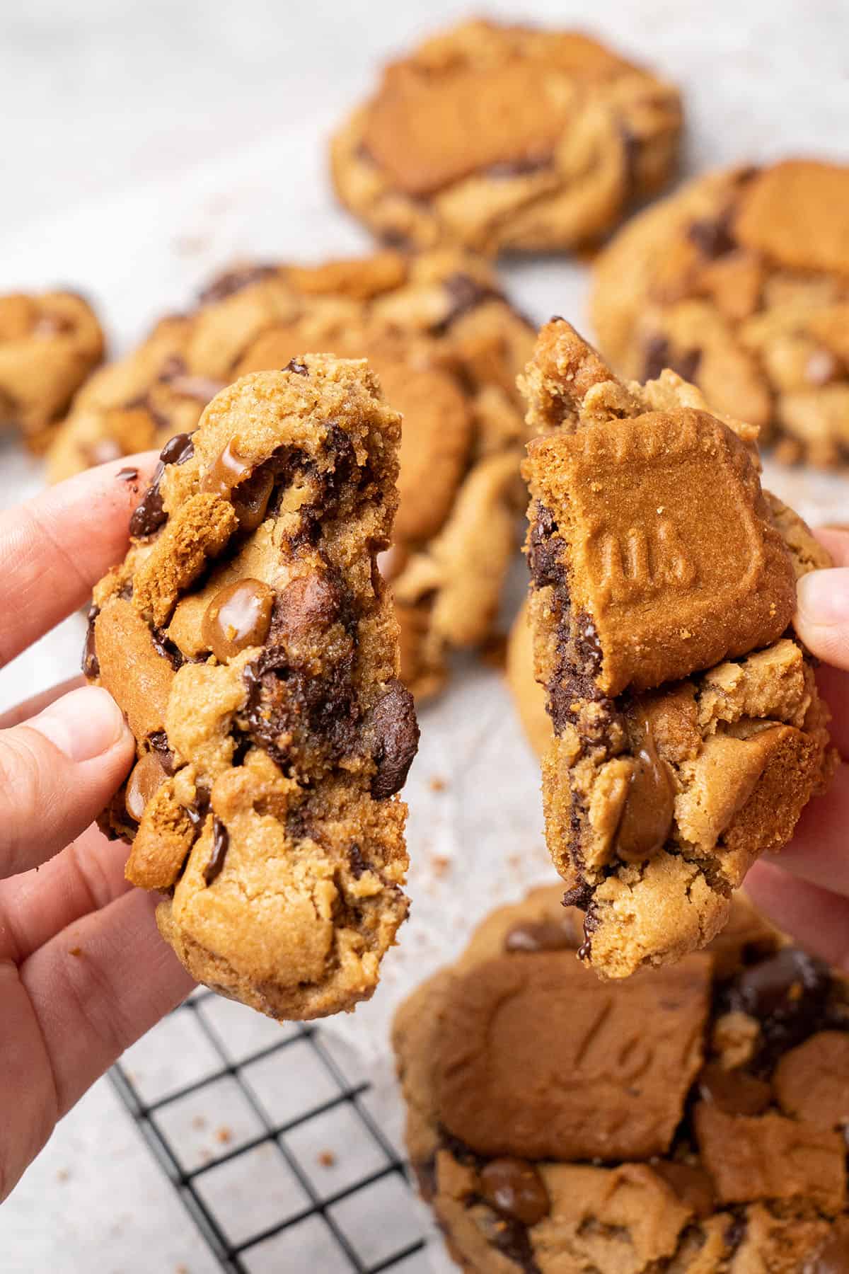 Biscoff cookies broken into half.