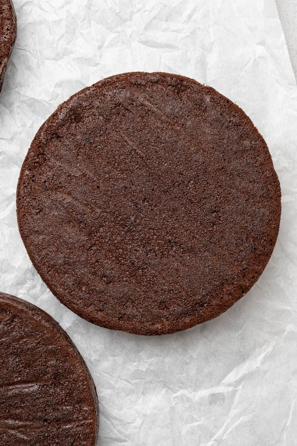 Chocolate Sponge Cake Spatula Desserts