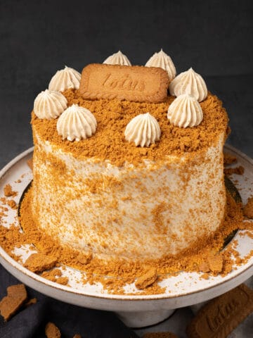 Biscoff cake on a cake stand.