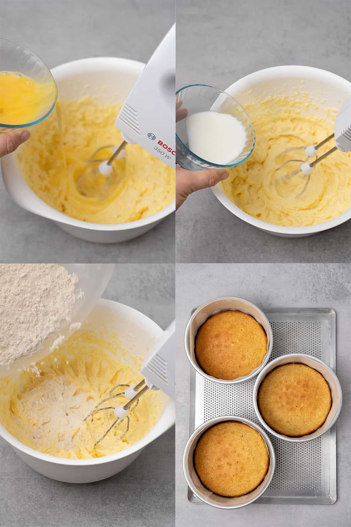Hazelnut cake sponge process.