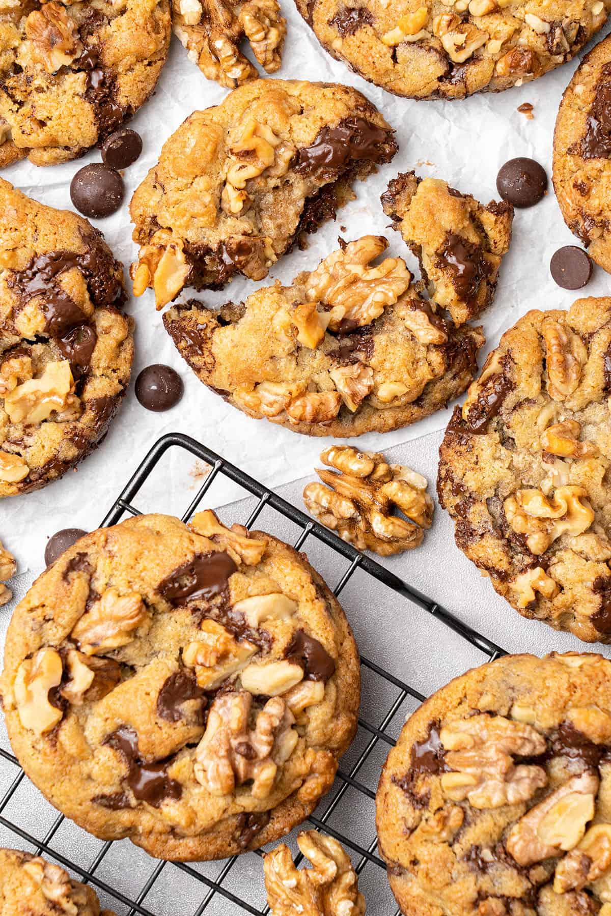 Chocolate chip walnut cookies on a cooling rack.