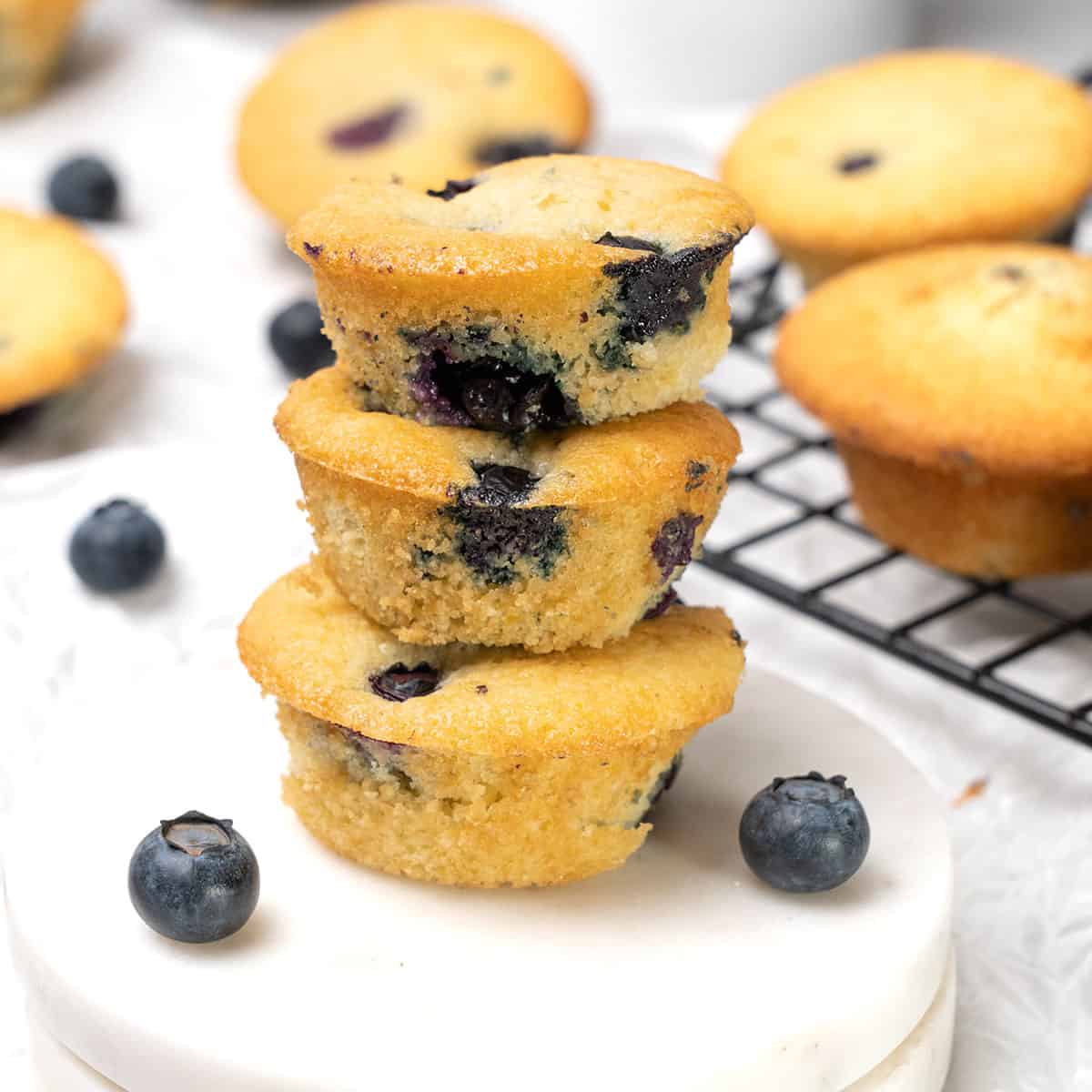 3 Mini blueberry muffins on top of each.