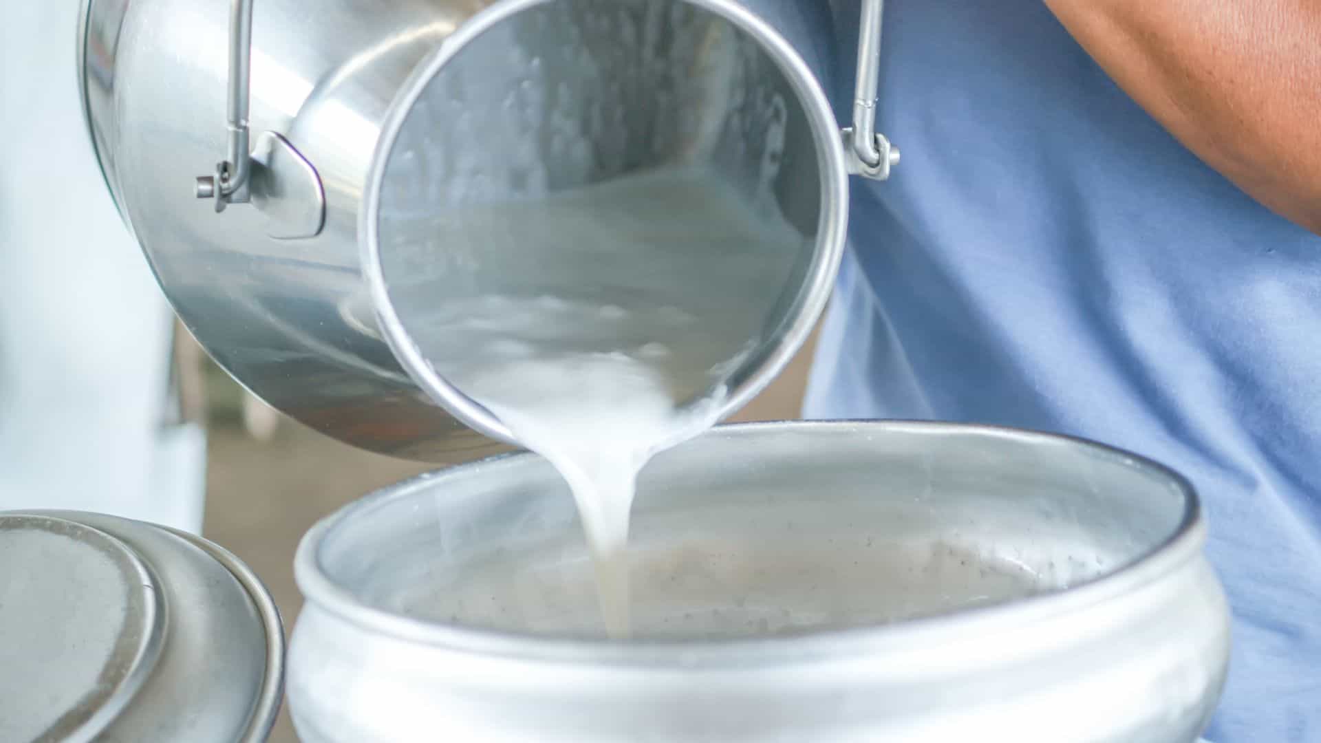 Raw Milk