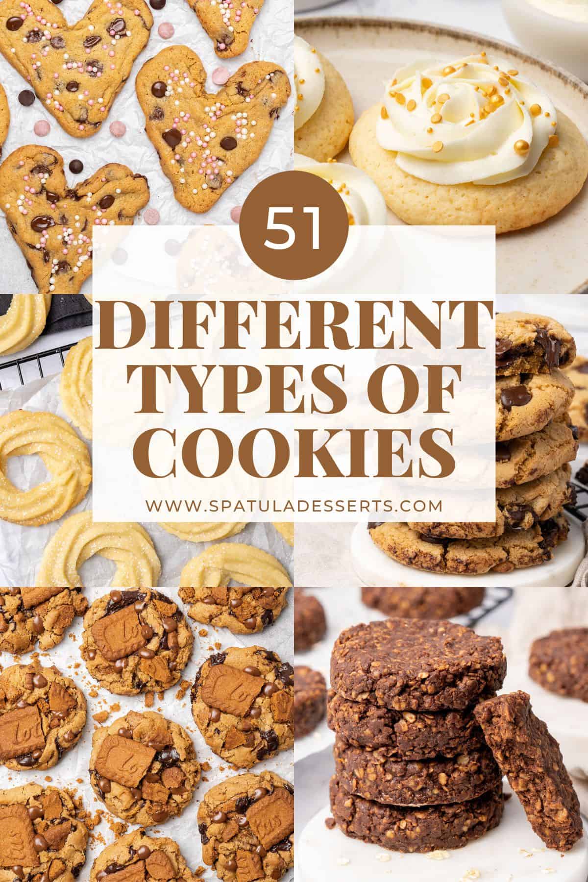 51 different types of cookies collection.