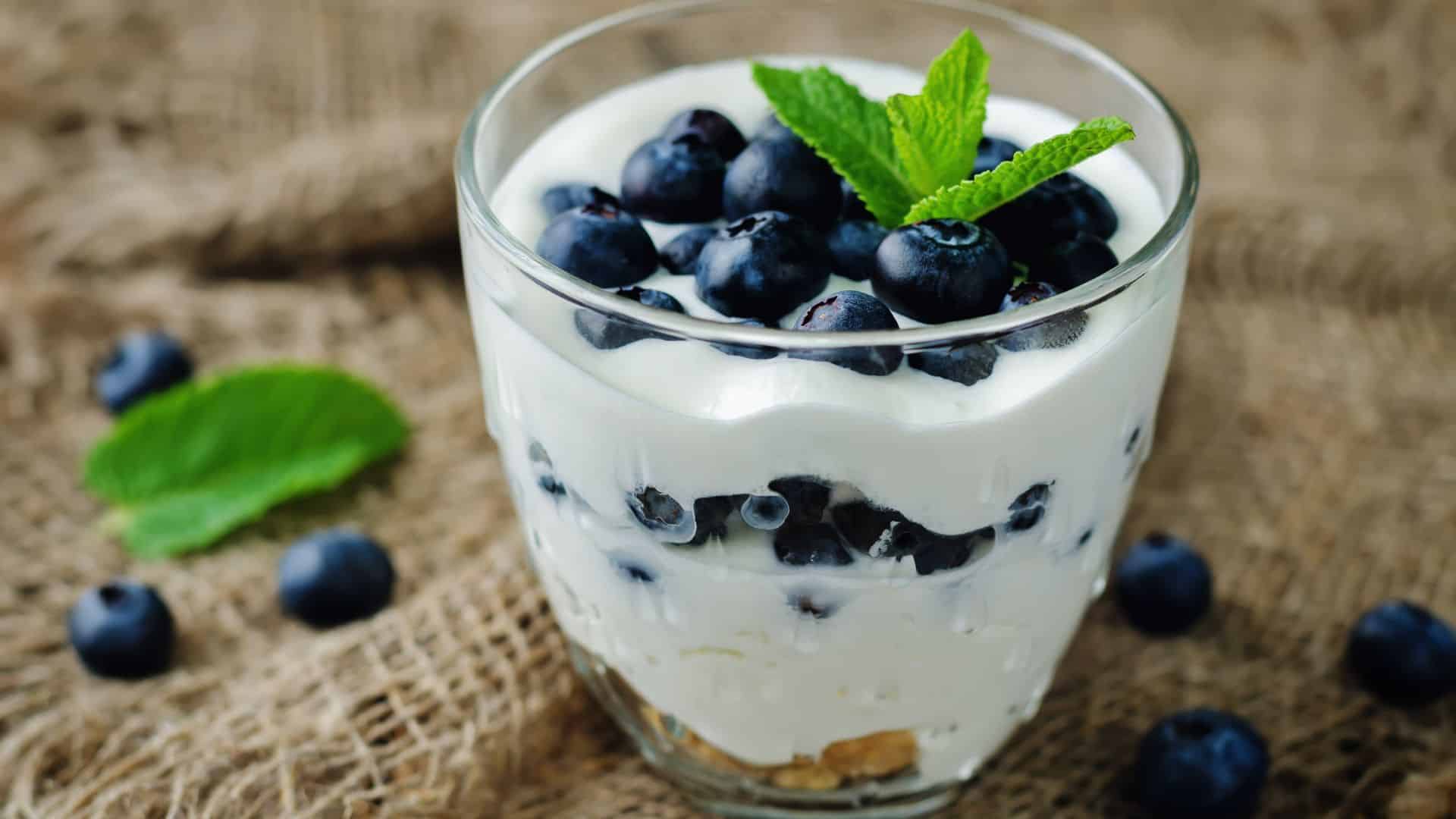 yogurt with blueberries
