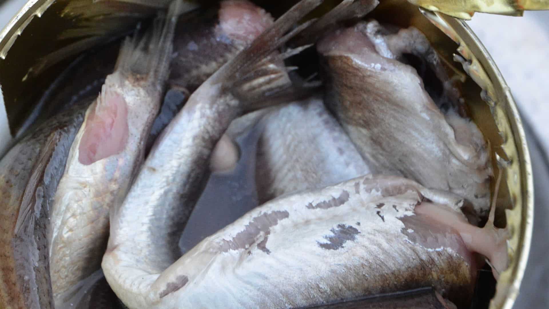 Surstr&ouml;mming