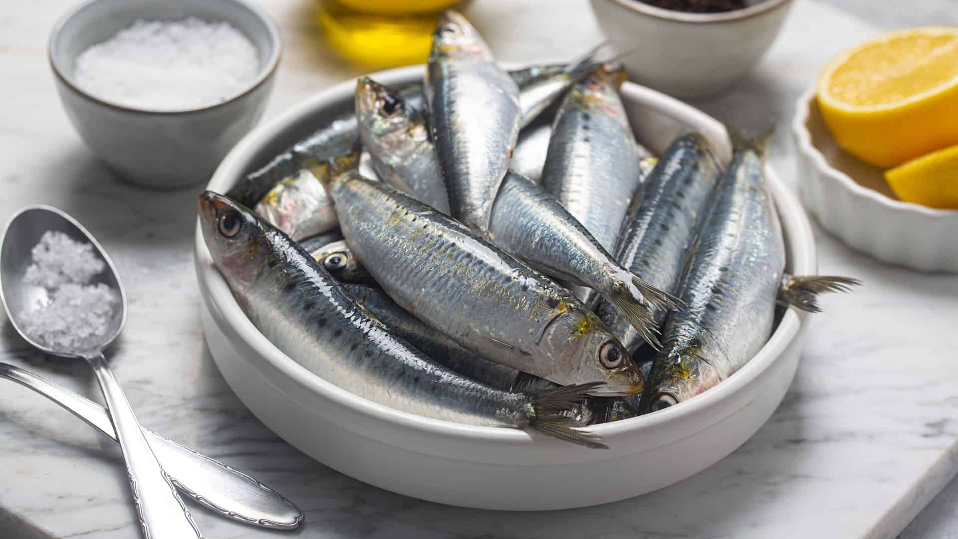 Sardines in a small bowl
