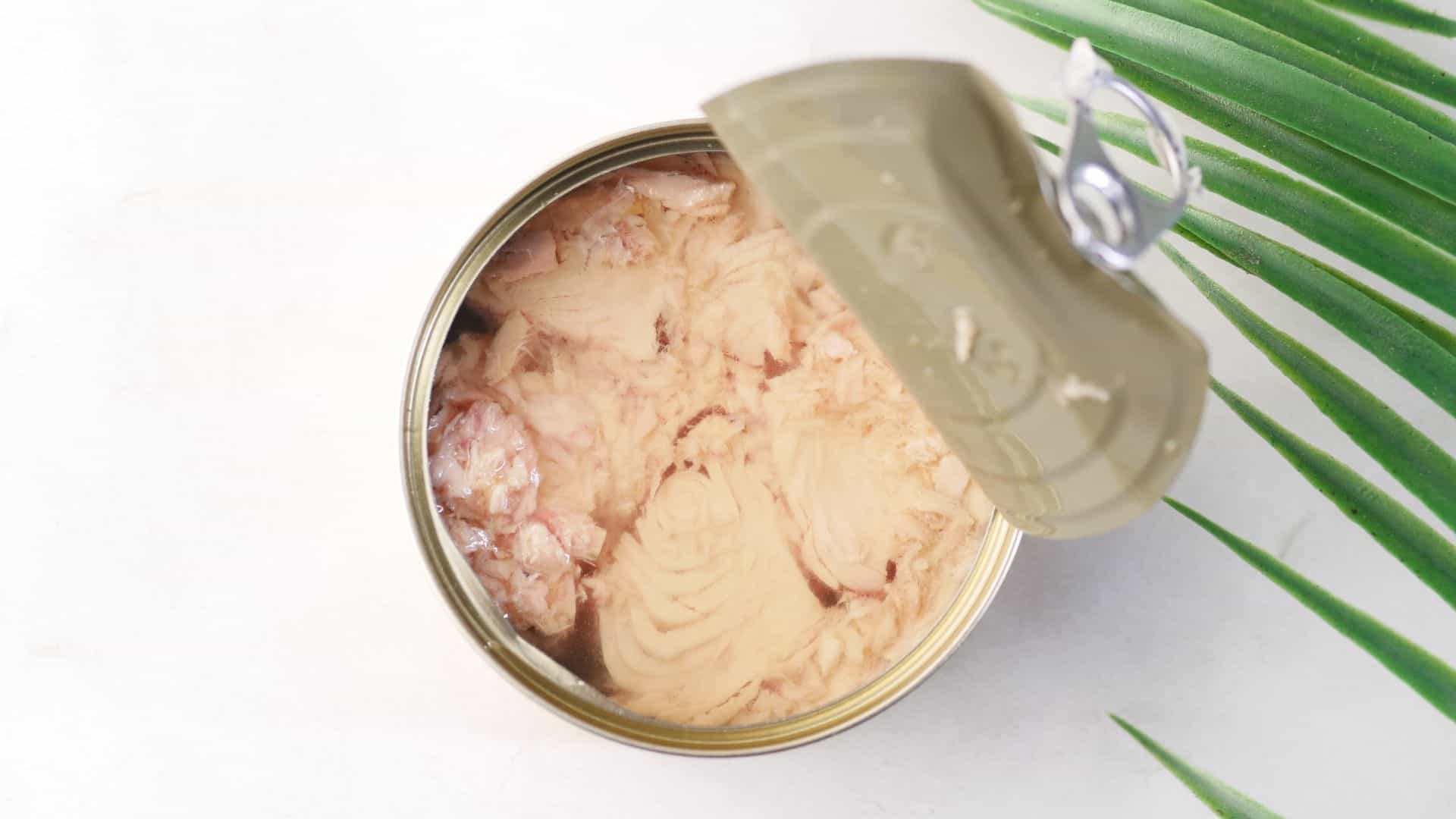 Canned tuna.