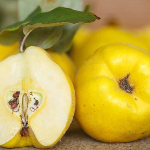 What is Quince Fruit Spatula Desserts