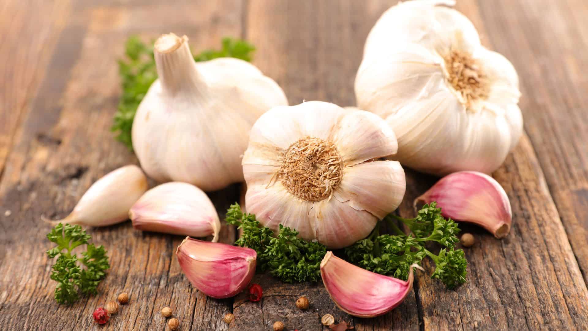 Garlic.
