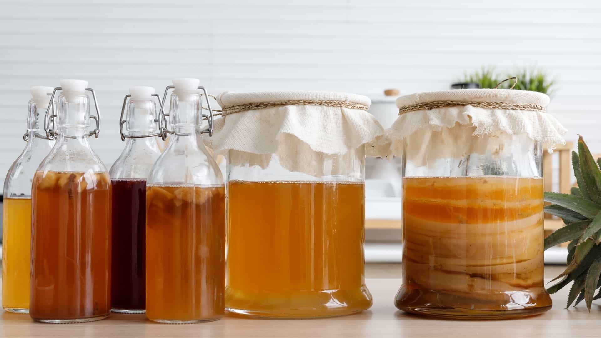 Fermenting liquid used for medicine