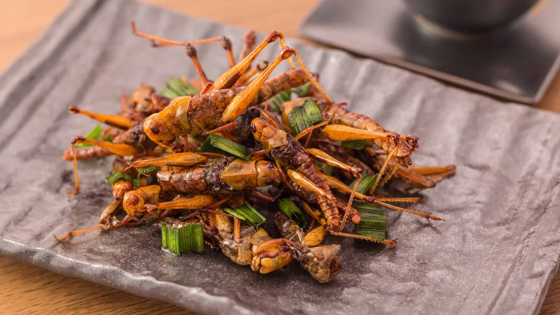 fried crickets with scallions
