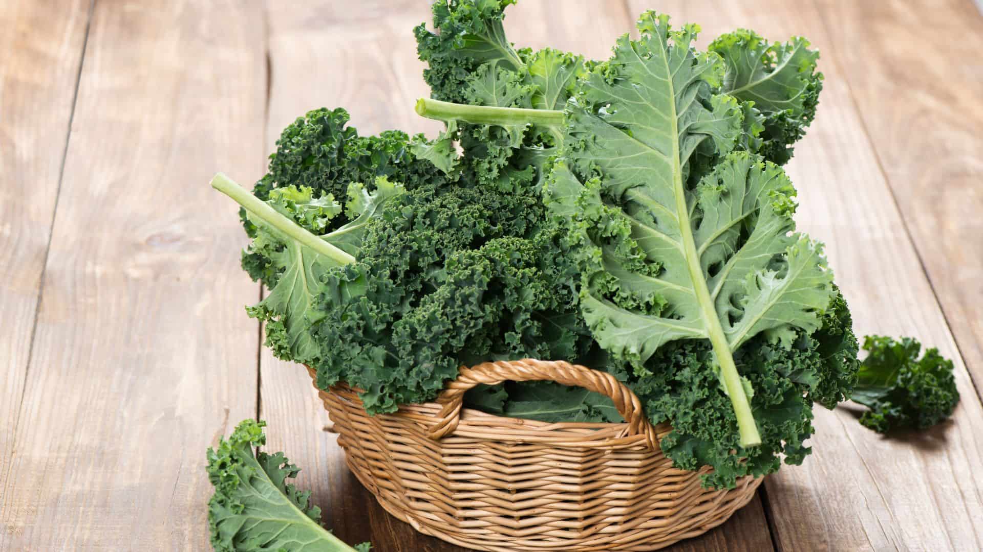 Kale.
