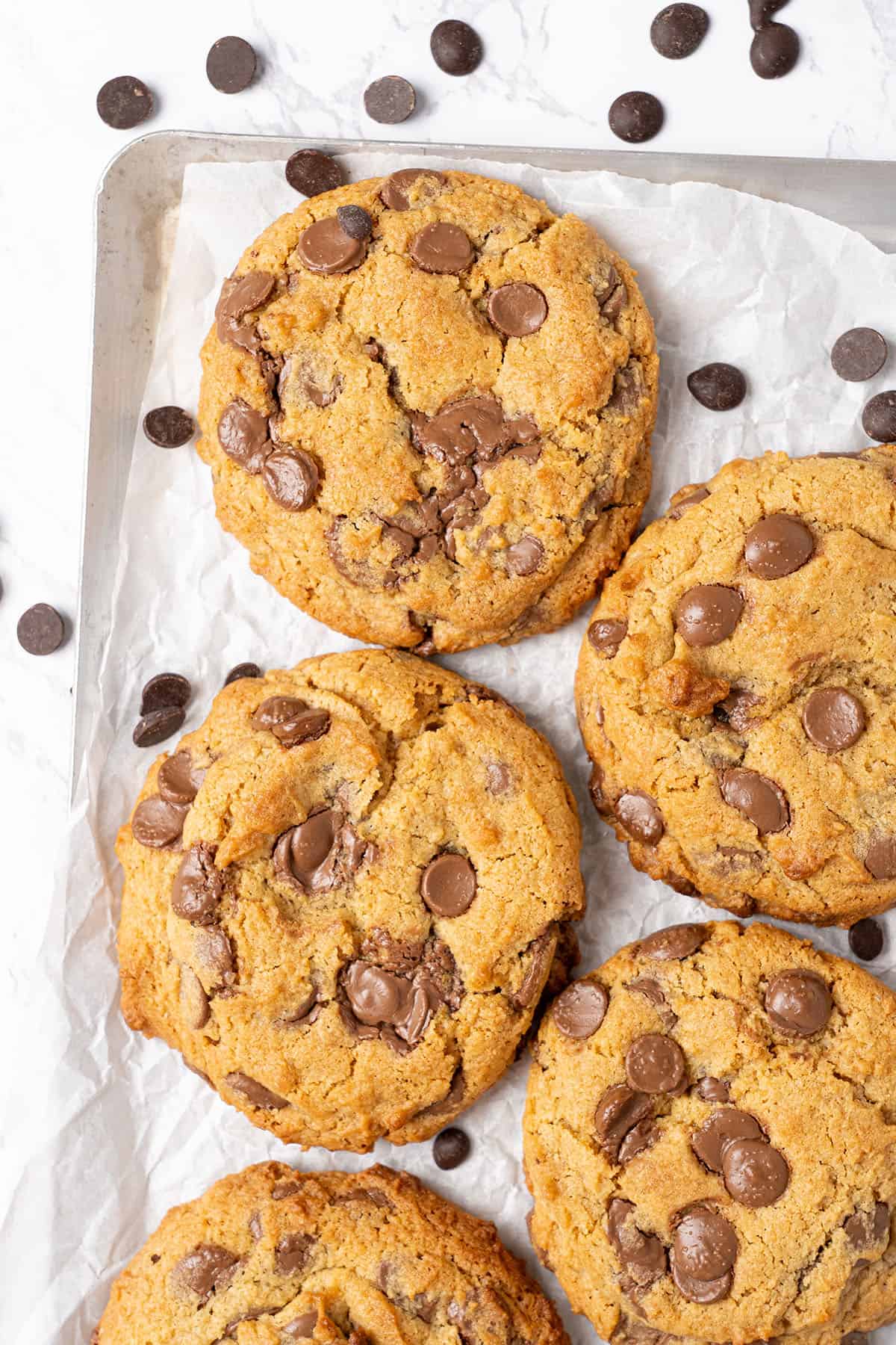 cream cheese chocolate chip cookies on a baking tray.