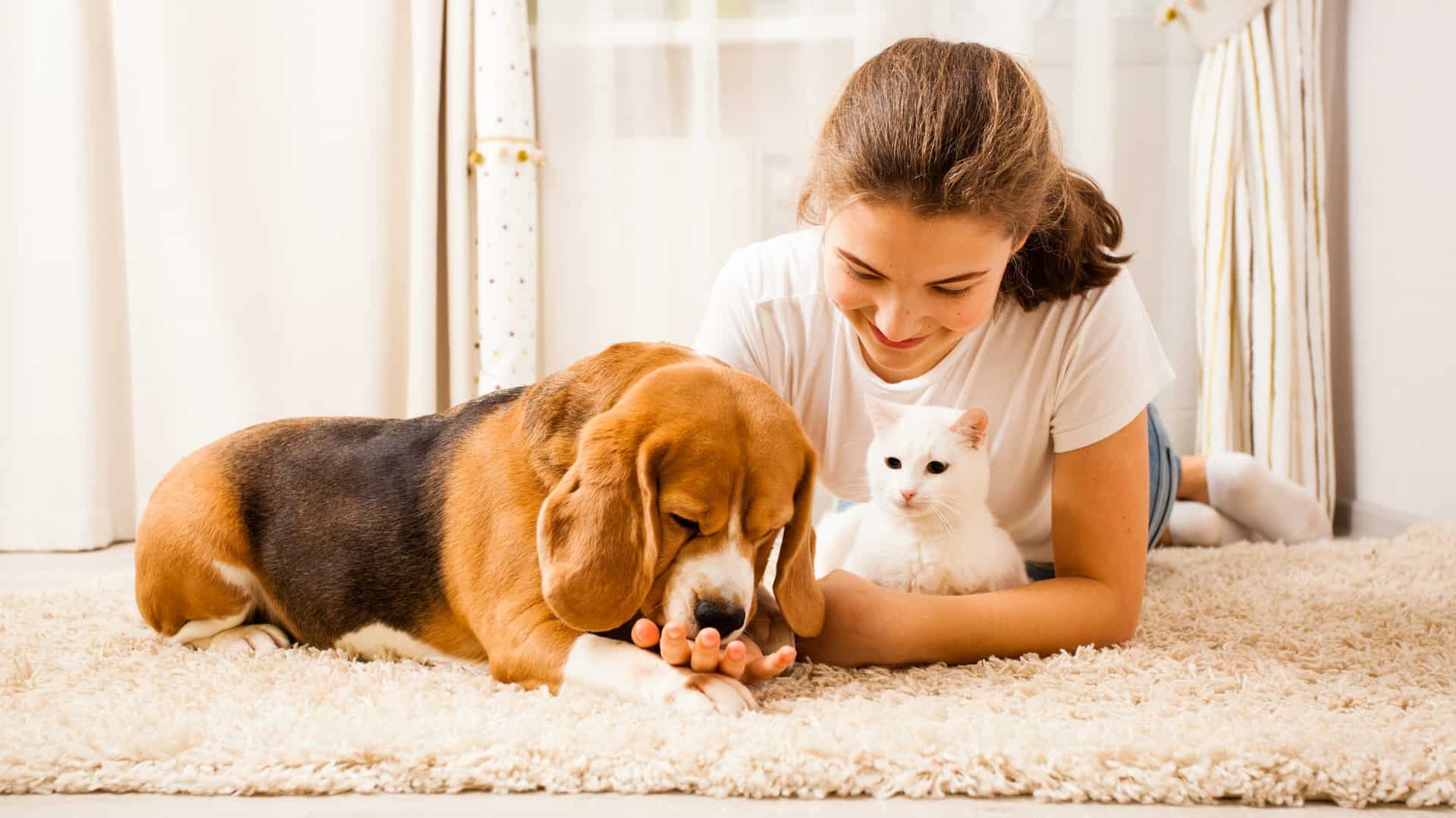 Girl with a cat and a dog