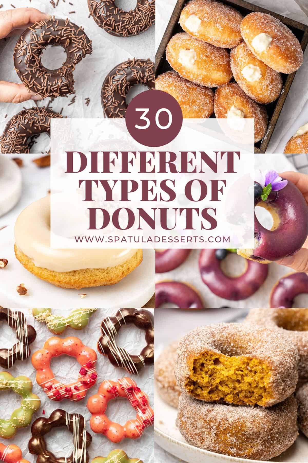 Different types of donuts recipe collection.