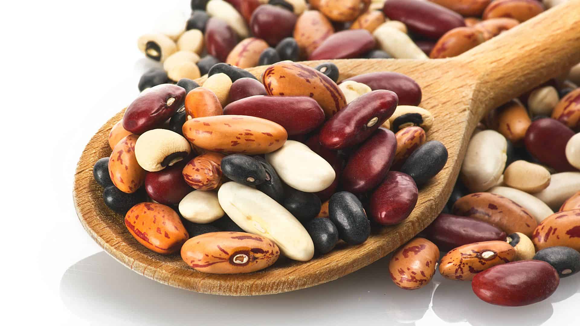 different beans on a spoon.