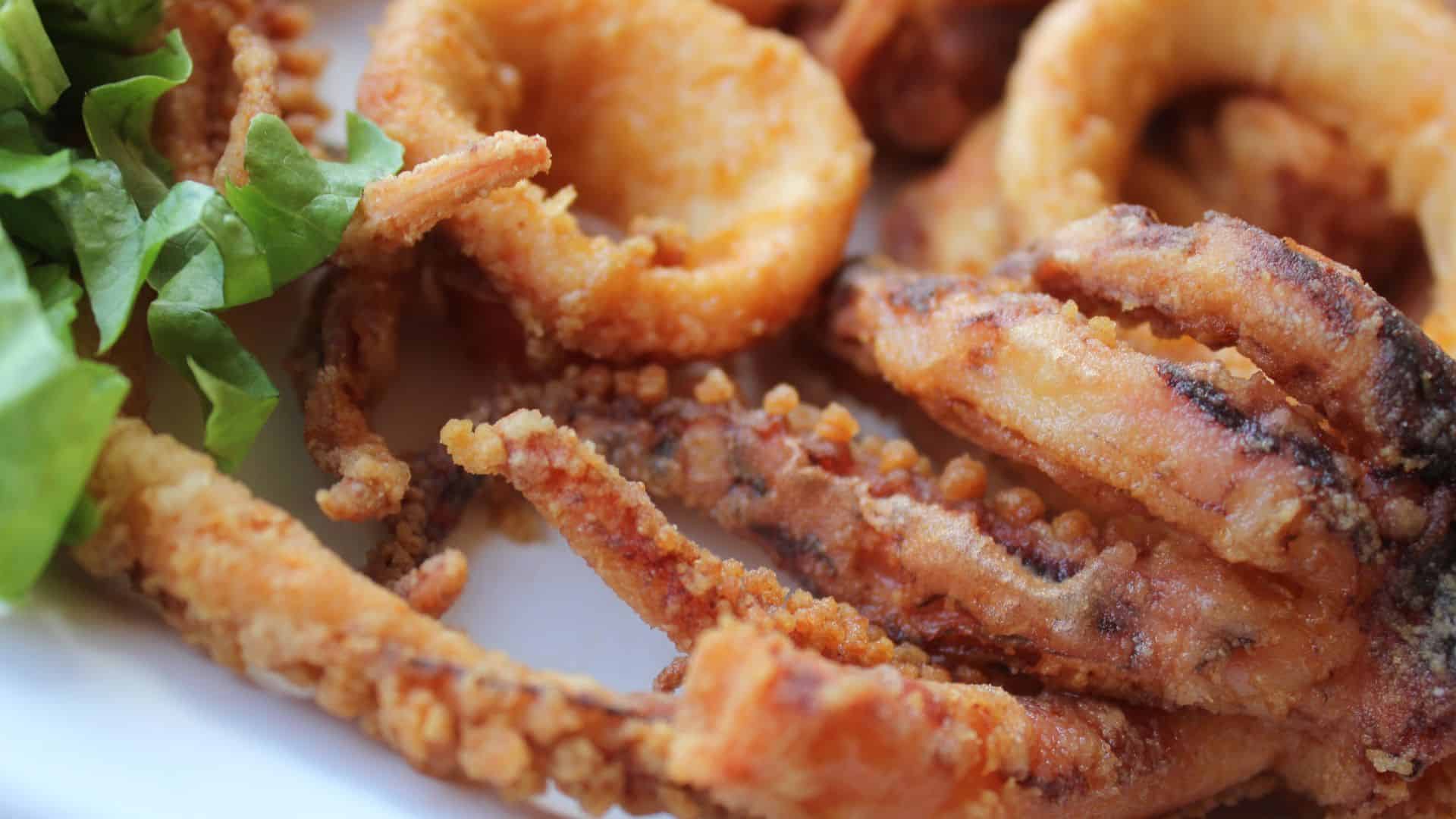 fried Calamaris and octopus.