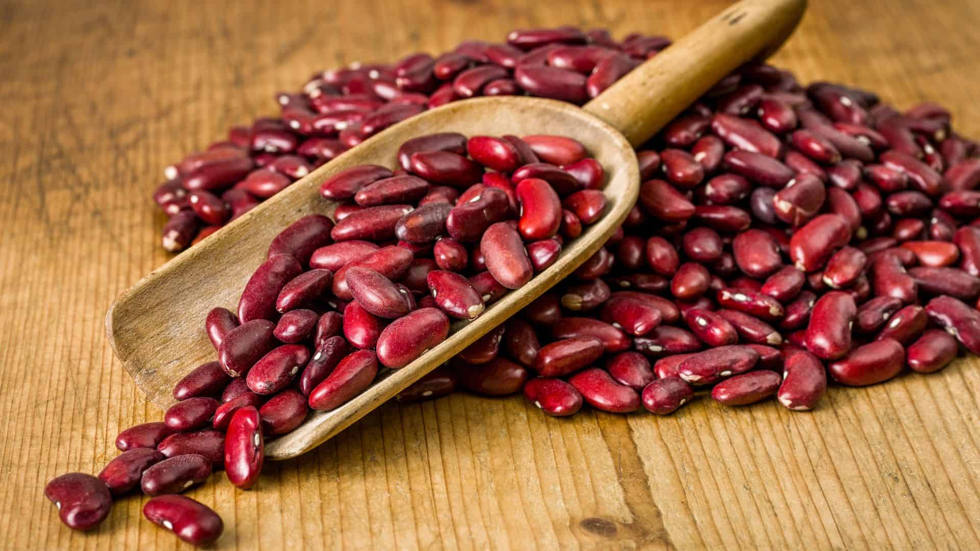 Beans in a spoon.