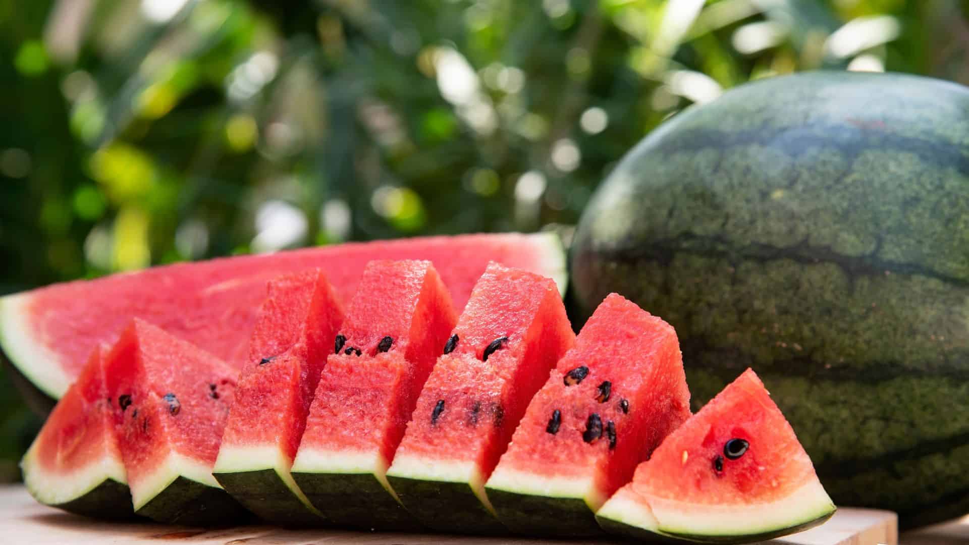 watermelon