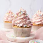 Funfetti cupcakes with frosting.