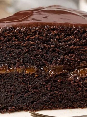 Austrian Sacher Torte Cake.