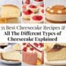 35 Different Types of Cheesecake Recipes All at One Place - Spatula ...