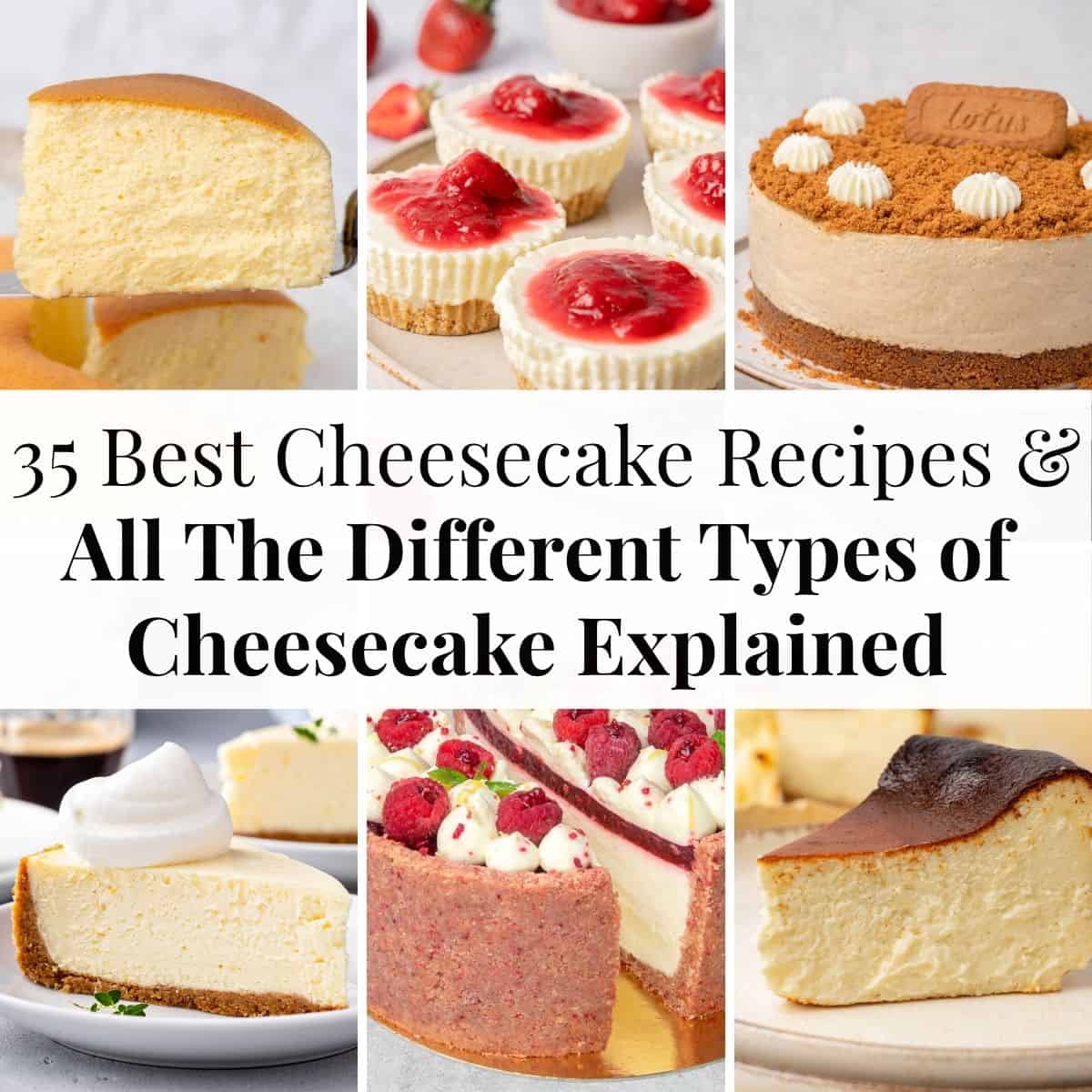 6 different types of cheesecake.
