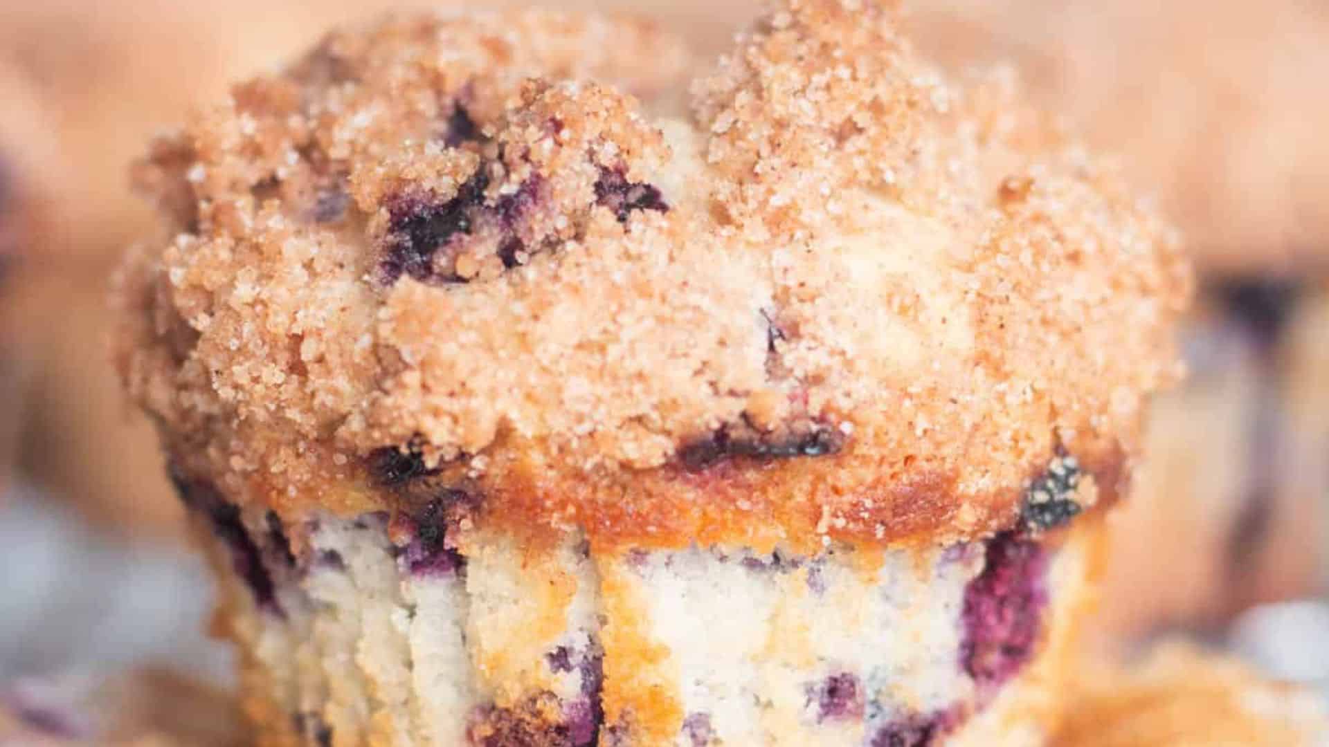 Blueberry Muffins with Cinnamon Streusel toppings.