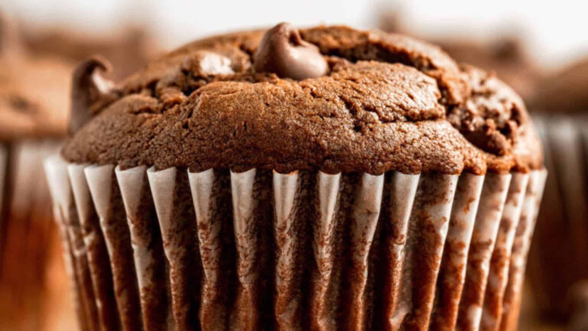Chocolate muffin with chocolate chips.