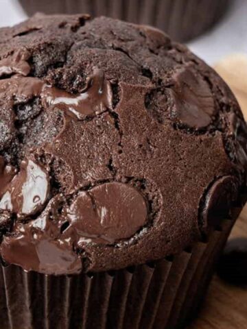 double chocolate muffin with chocolate chips
