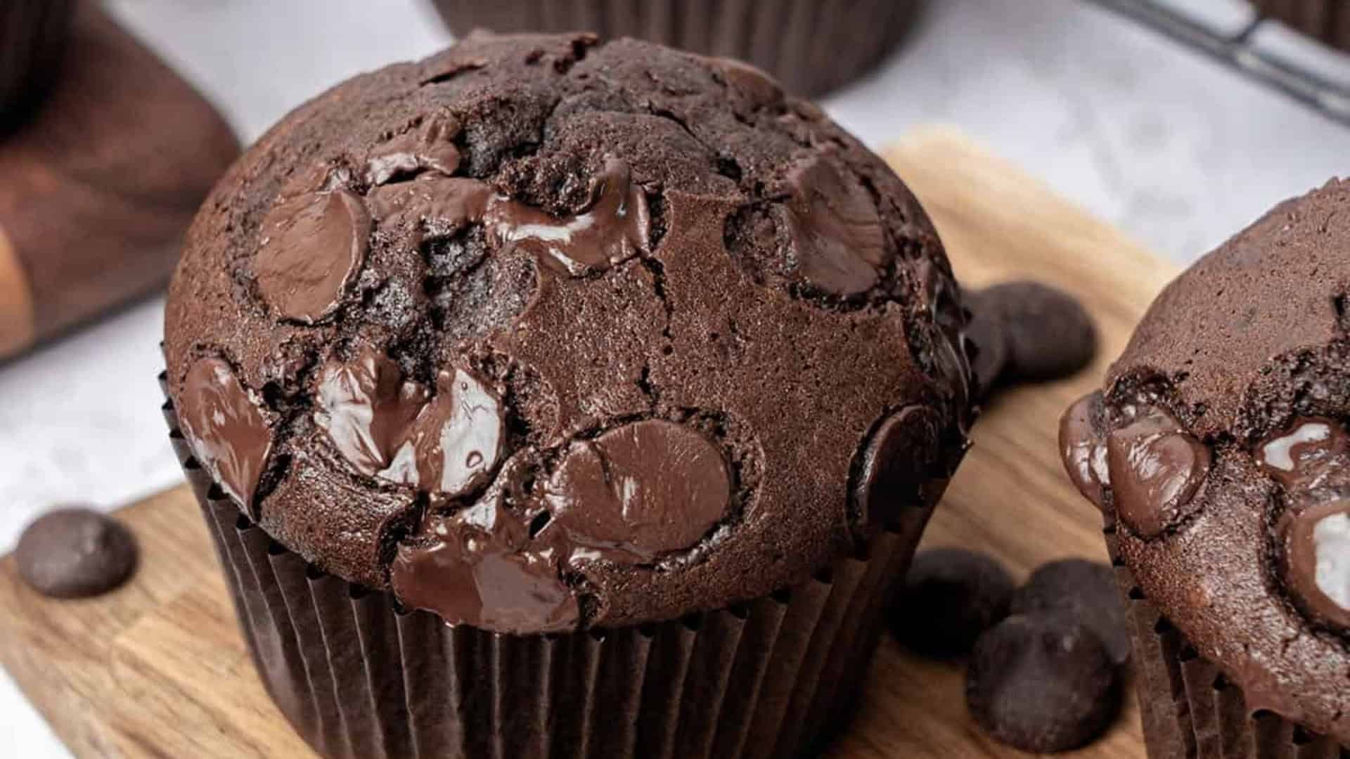 double chocolate muffin with chocolate chips