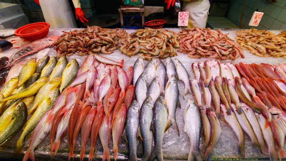 seafood in market.