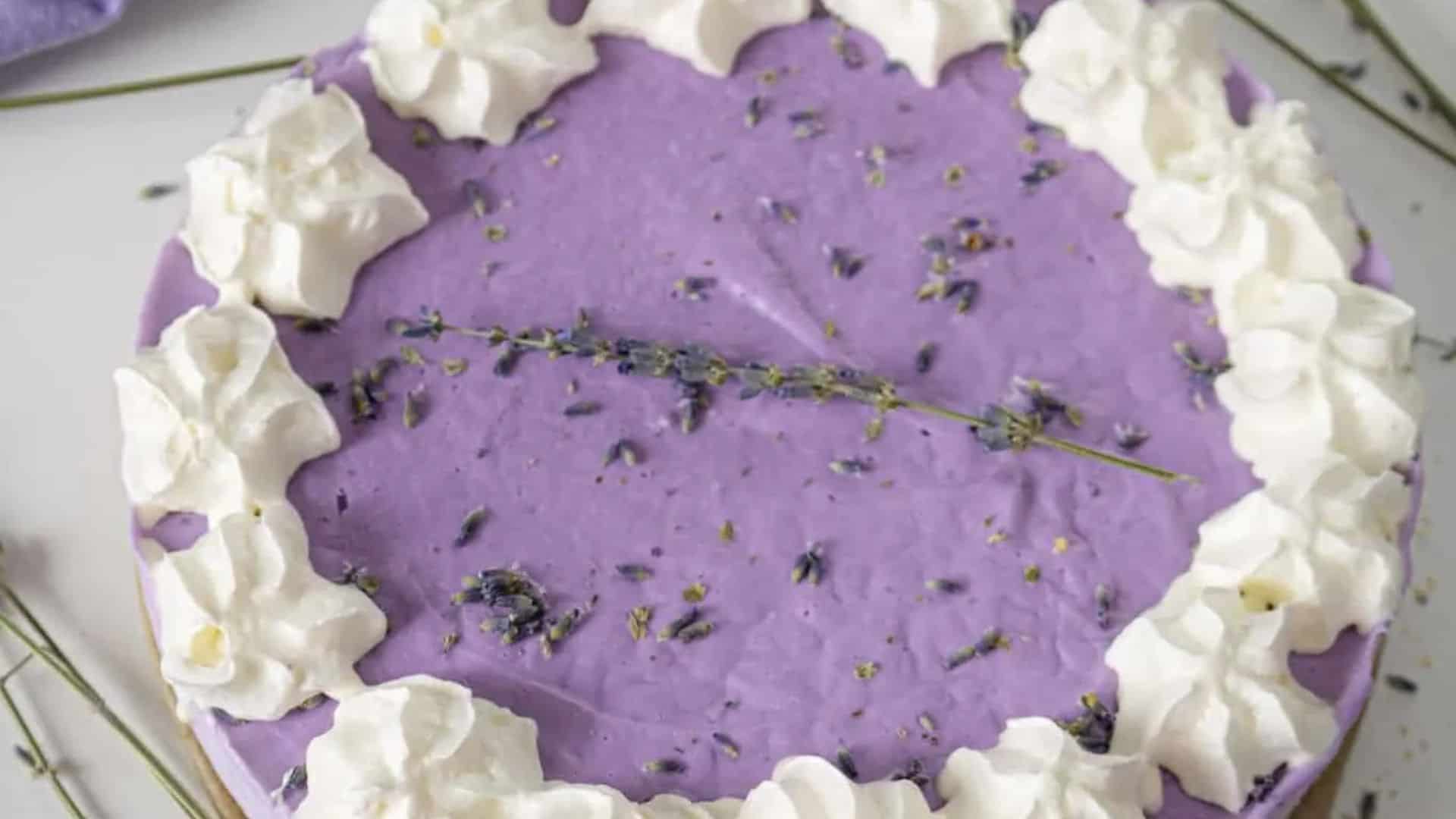 No Bake Lavender Cheesecake.