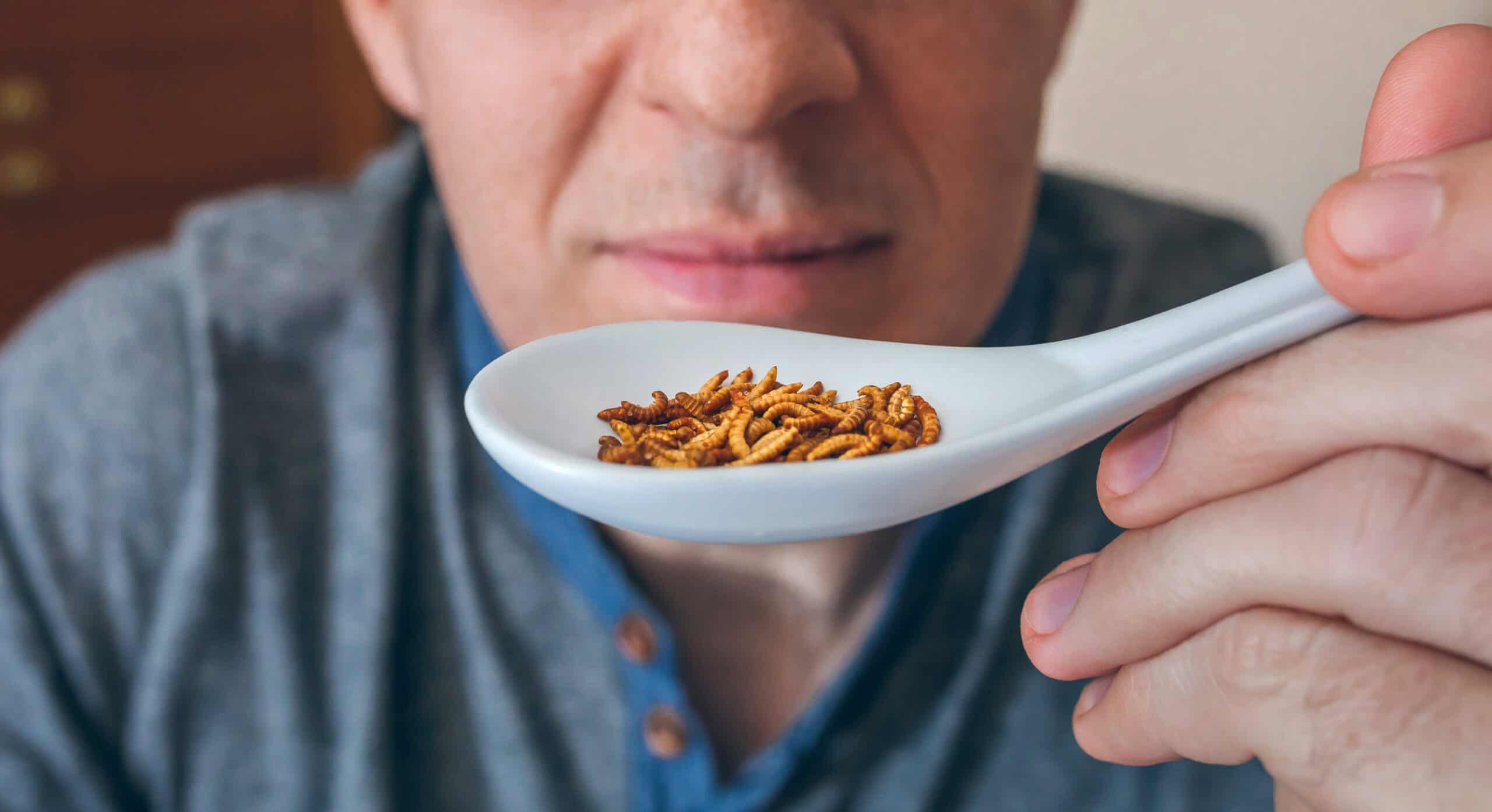 man eating a spoonful of mealworms