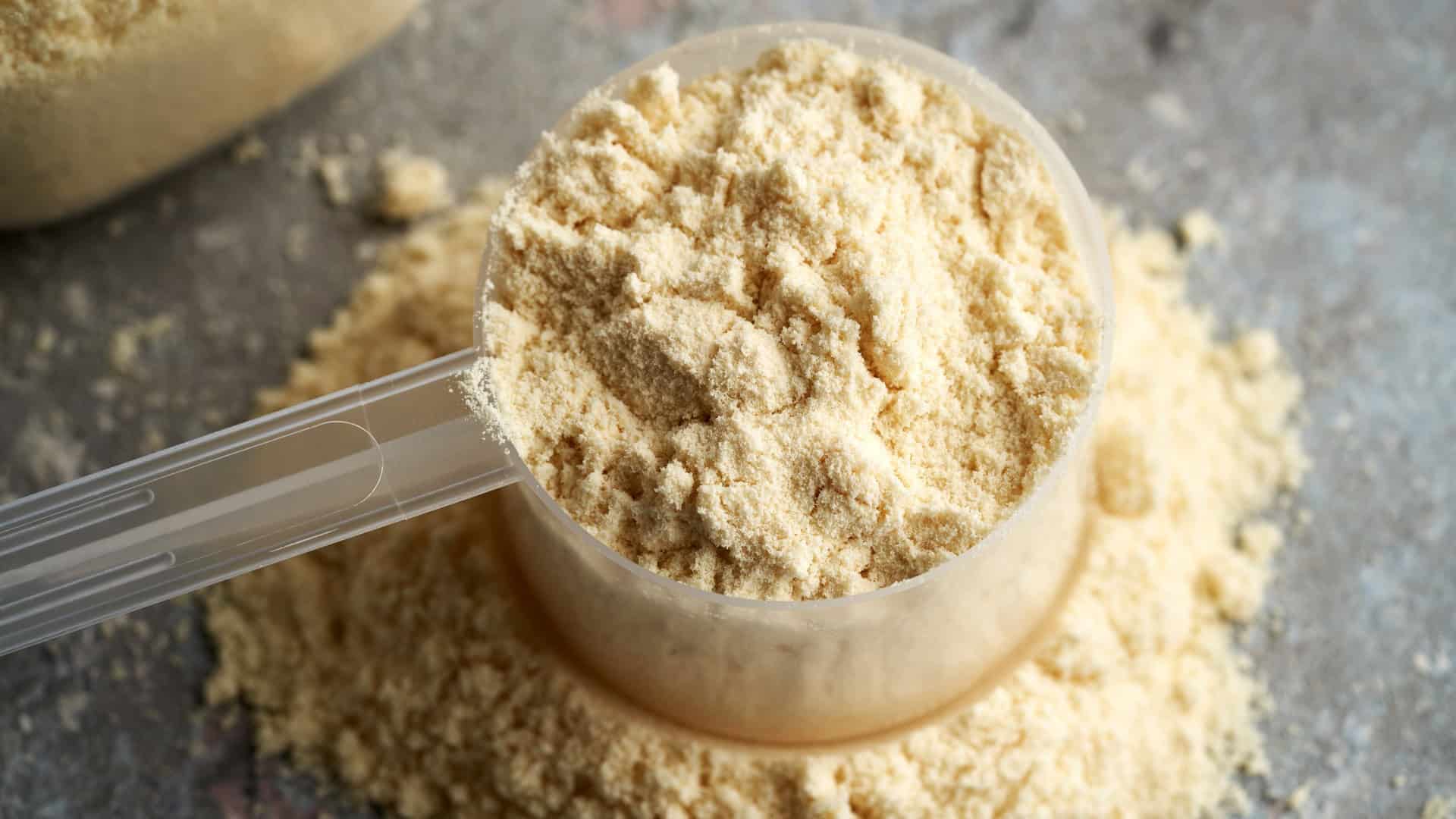 scoop of powdered milk