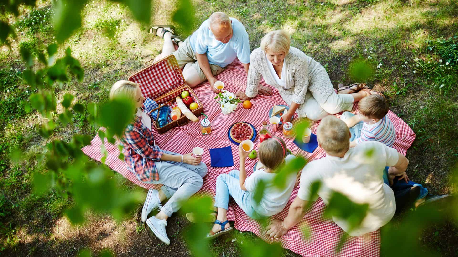 family having picnic.