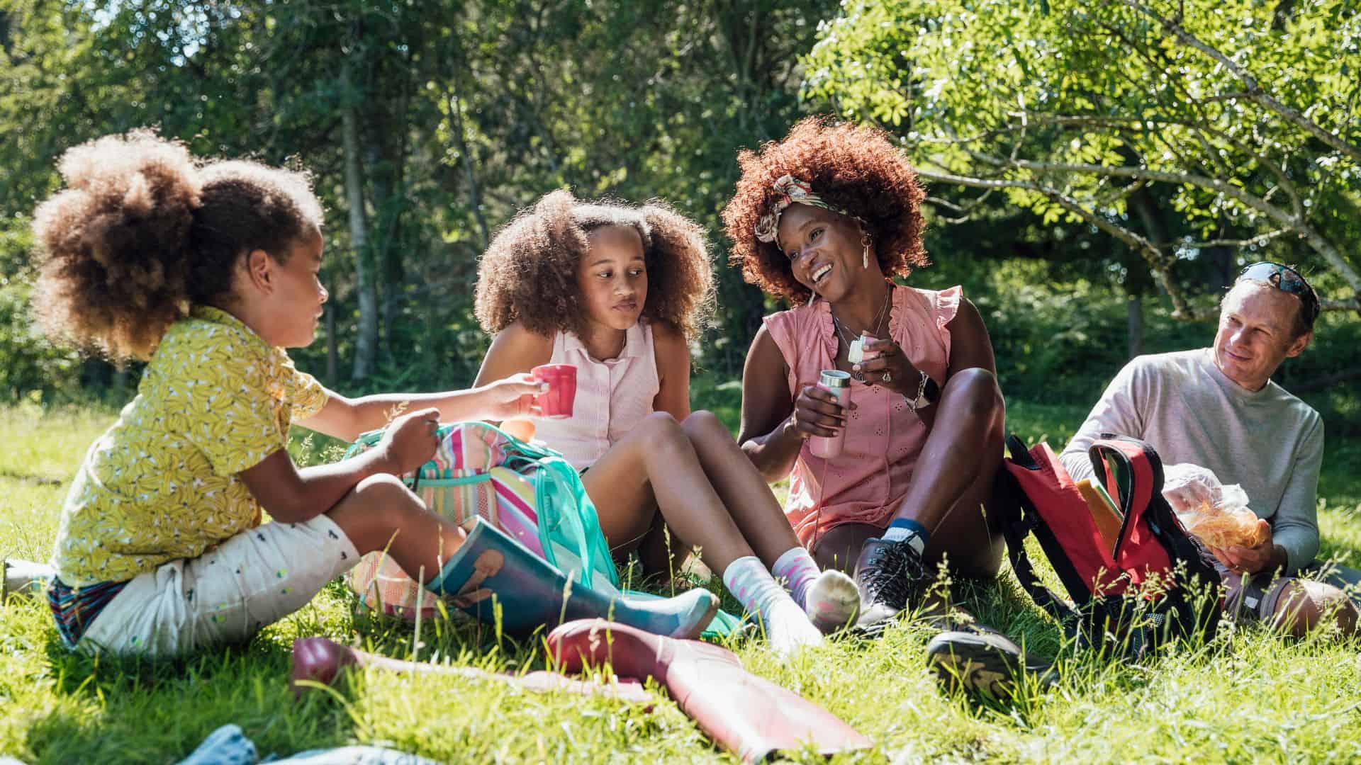 Family having a picnic.