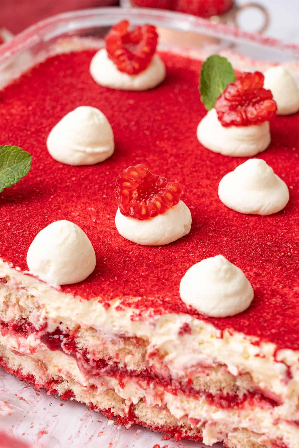 Raspberry tiramisu in a food container.