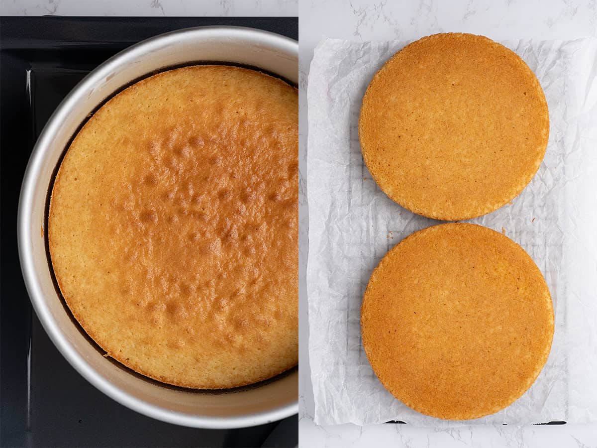 baked sponge cakes on a cooling rack.