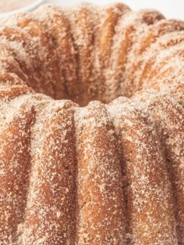 apple cider donut cake with cinnamon and sugar